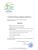20250625 CONVOCATION CM